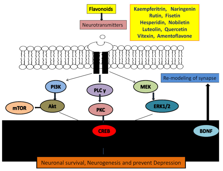 Figure 47