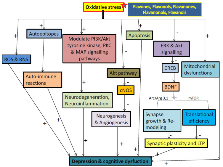 Figure 49