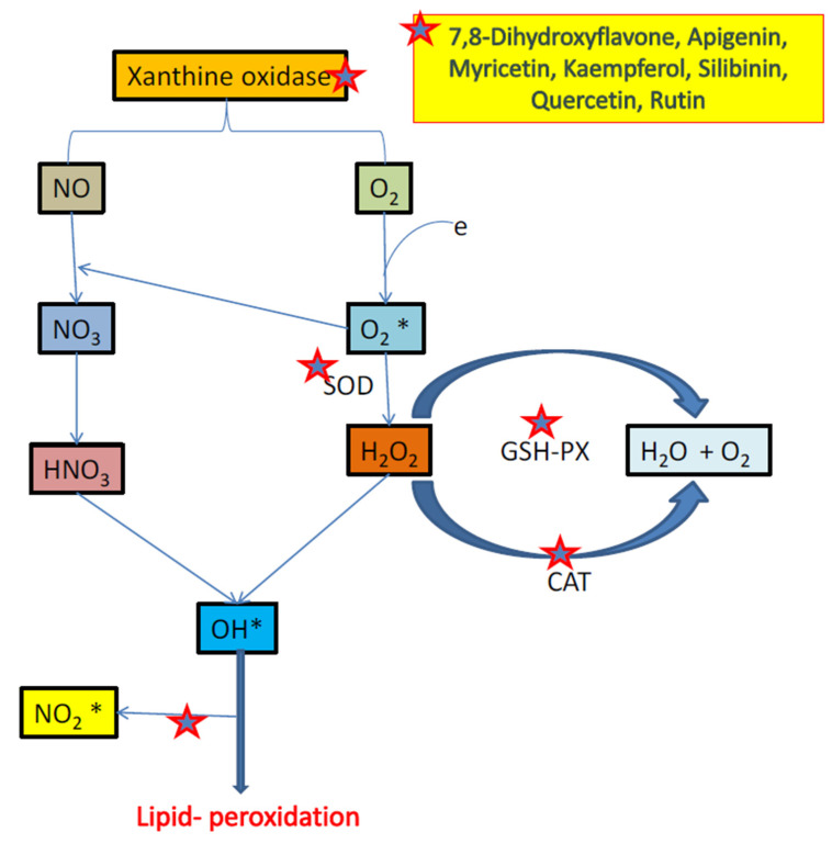 Figure 51