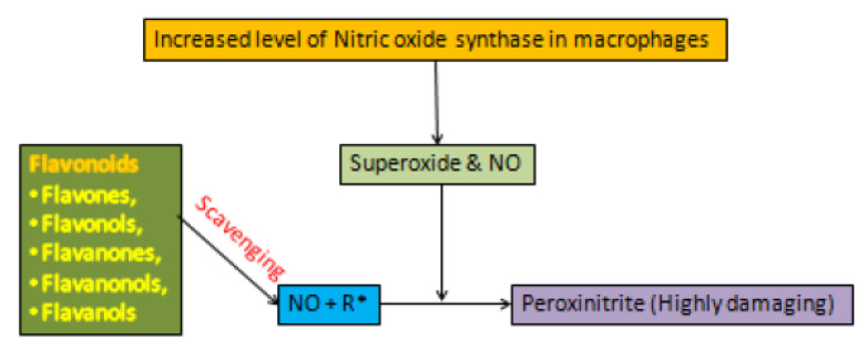 Figure 50