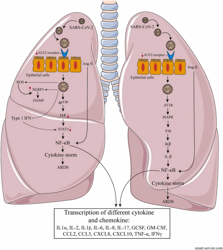 Fig. 1