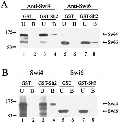 FIG. 7