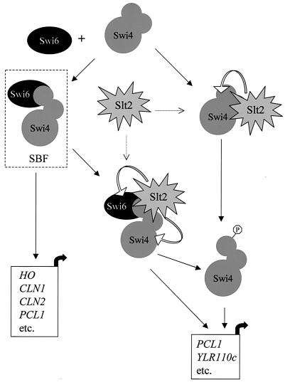FIG. 8