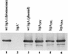FIG. 5.
