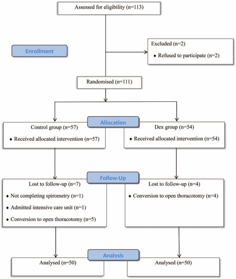 FIGURE 1