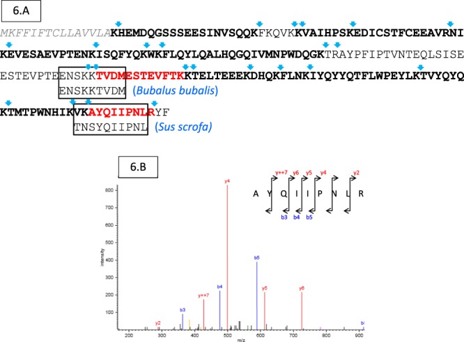 Figure 6