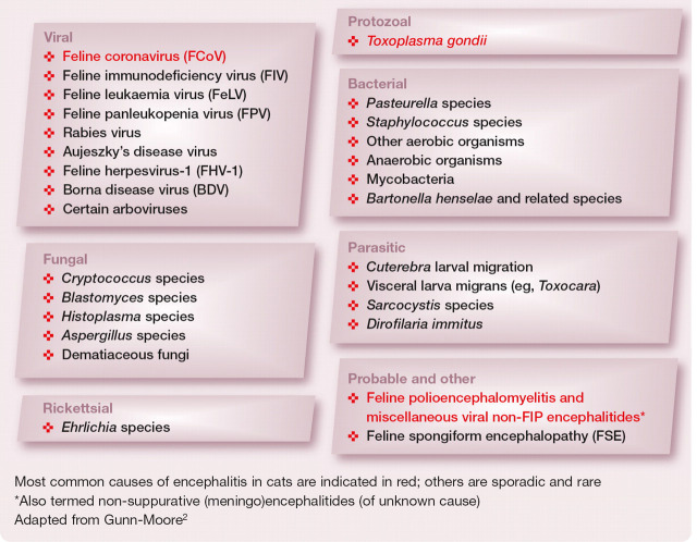 graphic file with name 10.1016_j.jfms.2011.09.004-fig16.jpg