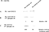 Fig. (4). Kinase activity of GSK 3β wt or its SUMO mutant