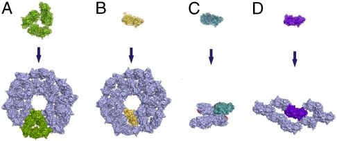 Fig. 4.