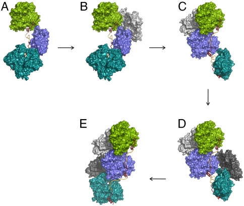 Fig. 5.