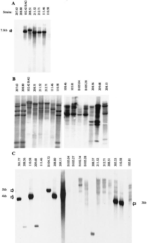 FIG.2.