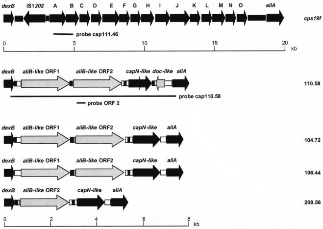 FIG. 1.