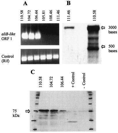 FIG. 3.