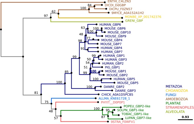 Figure 11