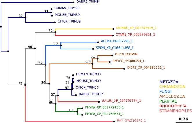 Figure 10