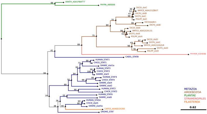 Figure 12