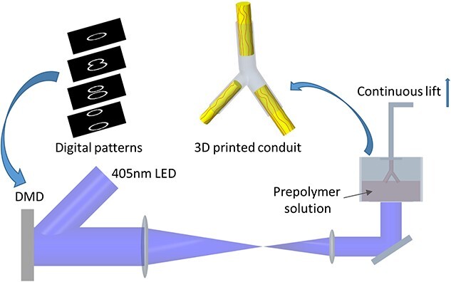 Figure 1.