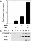 Fig. 4.