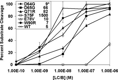 Fig. 5.