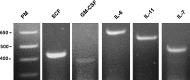 FIG. 6.