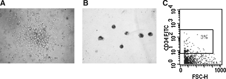 FIG. 5.