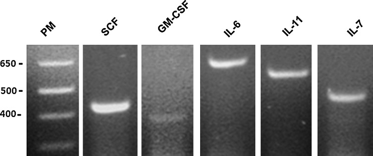 FIG. 6.