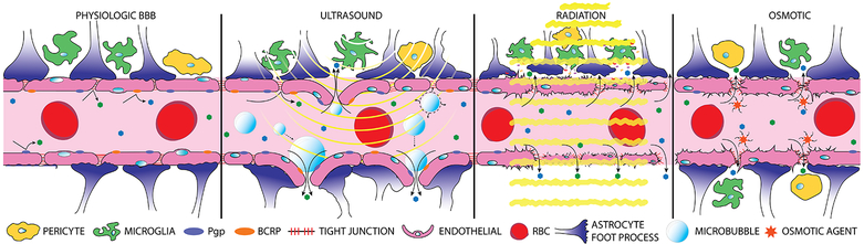 Figure 3, Key Figure.