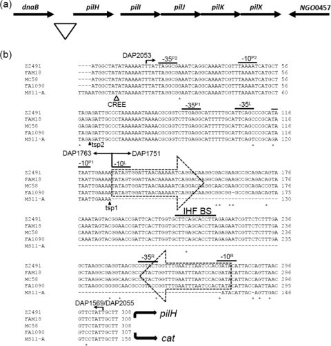 Fig. 1.