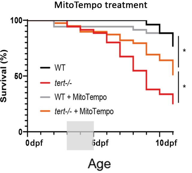 Figure 6—figure supplement 2.