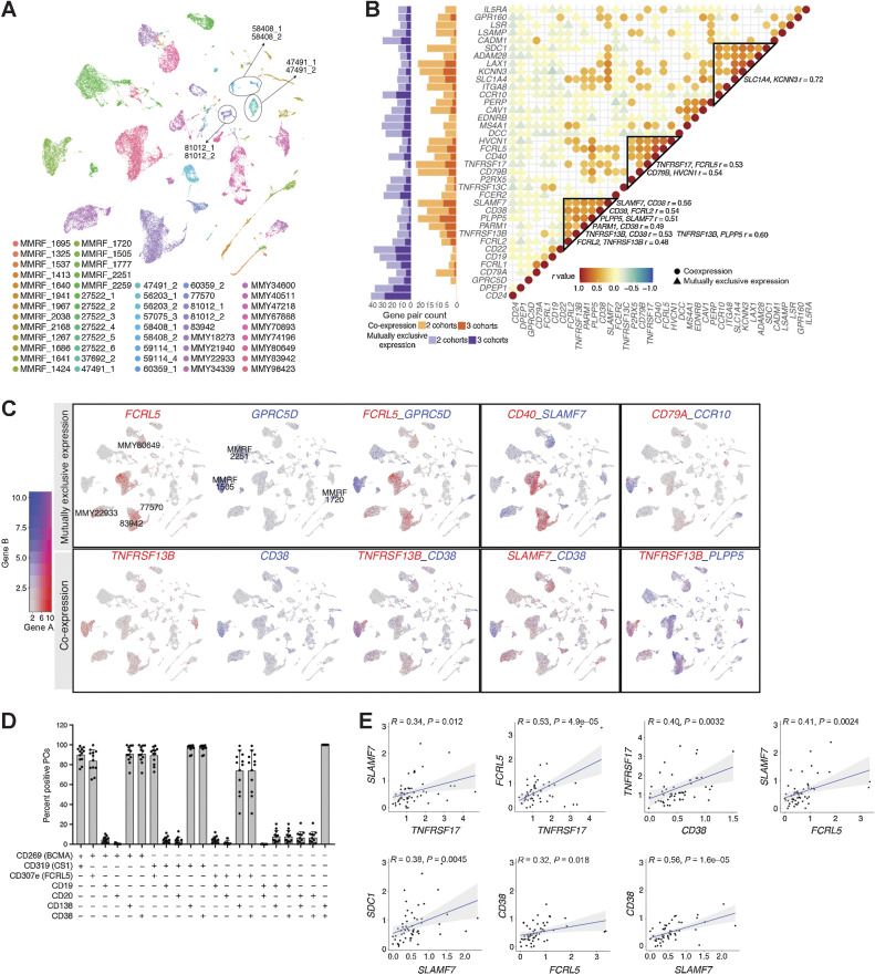 Figure 4. Expression correlation of myeloma cell–associated genes encoding surface proteins. A, UMAP showing plasma cells from 53 patients reveal tumor-specific clusters, colored by patient. B, Dot plots showing correlation of gene expression averaged by sample in all 53 samples, colored by Pearson correlation coefficient (r value). Only predicted coexpressed gene pairs (r>0.30) and mutually exclusively expressed gene pairs (r<0.05) are shown. Coexpressed gene groups are highlighted in triangles with visually confirmed ones listed on the right. Bar charts showing the number of predicted gene pairs (r<0.05 or r>0.30) in 2 data sets or 3 data sets. C, Gene pairs showing mutually exclusive expressions (top row) or coexpressions (bottom row). The first box of each row shows an example of expression of gene A (first UMAP), expression of gene B (second UMAP), and dual expression of gene A and gene B (third UMAP). D, Bar chart showing the percentage of plasma cells from 12 patient samples (11 MM and 1 SMM) with coexpression of surface proteins detected by flow cytometry. E, Pearson correlation plots of gene pair (same genes shown in D) expression in scRNA-seq.