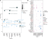 Figure 2. Pathway overrepresentation analysis of plasma and B cell marker genes using the Kegg and Reactome databases. A, Bubble plot of significantly enriched pathways identified via overrepresentation analysis. Pathways are binned into functional categories and plotted by significance (−log10 of FDR, q); bubble size indicates the number of genes called in the enrichment result. Yellow horizontal line indicates a 5% significance threshold. DEG = differentially expressed genes; ER = endoplasmic reticulum; GIP = gastric inhibitory polypeptide; GLP = glucagon-like peptide; BCR = B-cell receptor. B, Bubble plot of fold change and cellular localization of differentially expressed plasma and B cell genes identified as functionally relevant by pathway enrichment. Bubble size indicates fold change (ln) of gene expression in either plasma cells or combined plasma and B cells (as indicated by gene name color) relative to other BM cells; color denotes predicted cellular localization of the encoded protein.