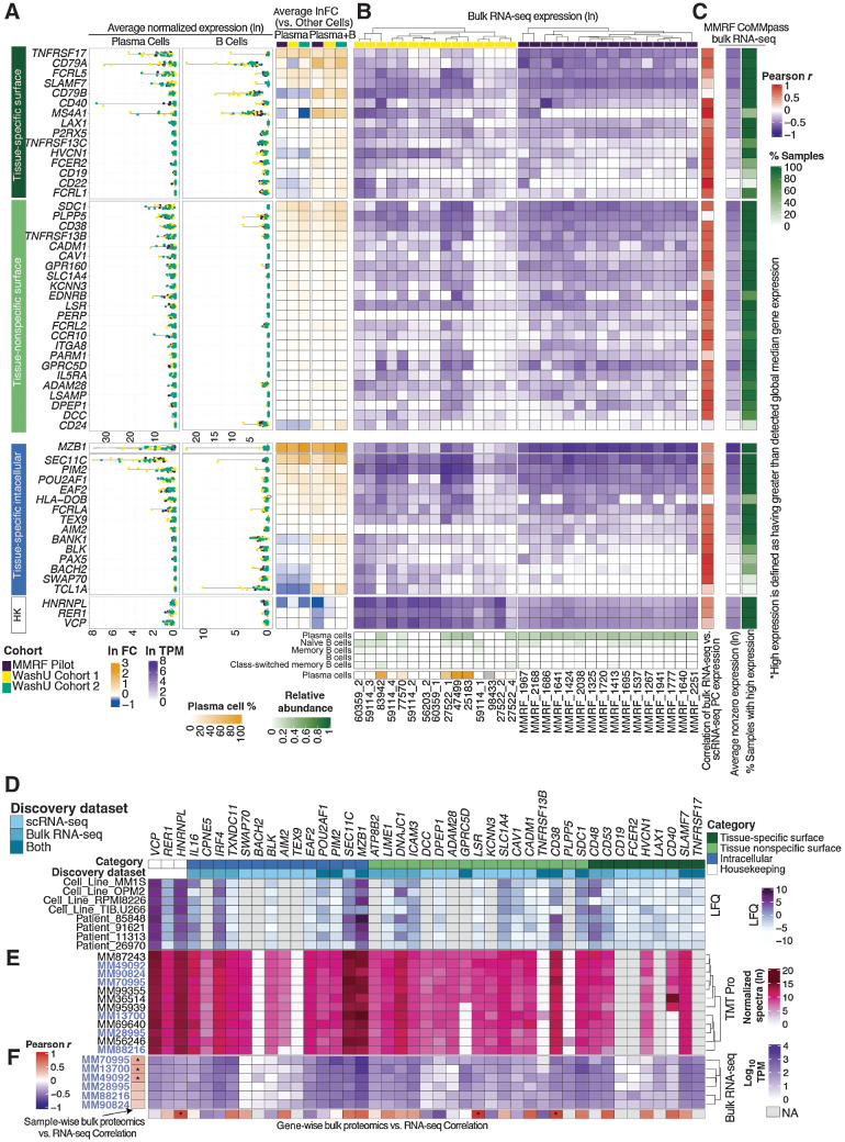 Figure 7. Comparison of scRNA-seq, bulk RNA-seq, and bulk proteomic expression of candidate targets. A, Average normalized expression (ln) and average fold change (ln) of target genes across scRNA-seq discovery cohorts. HK: Housekeeping genes. B, Unsorted bulk RNA-seq expression of WashU Cohort 1 and CD138+ sorted bulk RNA-seq of the MMRF Immune Atlas Pilot Cohort. XCell deconvolution of plasma and B cell relative abundance is shown along the bottom. Plasma cell percentages from matching scRNA-seq data is shown for WashU Cohort 1. Correlations between plasma cell expression (scRNA) and bulk CD138+ expression of each gene for MMRF Pilot samples are shown in the rightmost column. C, Average nonzero expression and expression prevalence across MMRF CoMMpass bulk RNA-seq. Expression prevalence is defined as a percentage of all samples wherein target expression is higher than global median nonzero gene expression. D, Bulk protein expression of target gene products assayed via label-free proteome; LFQ values were analyzed by MaxQuant, Log2 transformed and subsequently internally normalized with missing values imputed. E, Bulk protein expression of target gene products assayed via TMT Pro; TMT intensities were analyzed by MaxQuant, Ln transformed, and internally normalized. F, Bulk RNA expression of 6 samples (names identified in purple) concurrently processed via TMT Pro. Sample-wise RNA-vs.-protein correlations across all target genes shown is displayed along the Y-axis; gene-wise RNA-vs.-protein correlations across samples is displayed along the X-axis.