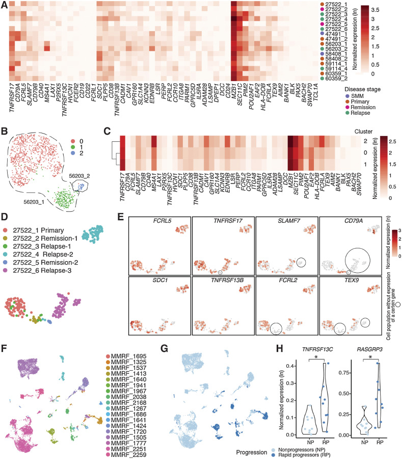 Figure 6. Expression of myeloma cell–associated therapeutic targets in relation to clinical features. A, Heat map showing normalized expression of candidate targets across longitudinal samples. Different disease stages are annotated in different colors on the right of the heat map. B, UMAP showing plasma cells from samples taken at two different stages of patient 56203, colored by seurat clusters. C, Heat map showing normalized expression of candidate targets across three plasma populations in patient 56203. Genes detected in fewer than 5 cells are not considered during normalization and thus were not included in the heat map. D, UMAP showing plasma cells from samples taken at six different time points of patient 27522, colored by sample. E, Expression of typical myeloma cell–associated therapeutic targets reveals diverse and dynamic change of gene expression along the disease progression in the same patient. F, UMAP showing plasma cells from samples in MMRF Immune Atlas Pilot study, colored by patient. G, UMAP showing plasma cells from samples in MMRF Immune Atlas Pilot study, colored by patients’ progression features. H, Violin plots showing expression of TNFRSF13C and RASGRP3 are significantly elevated in rapid progressors compared with nonprogressors (P < 0.05).