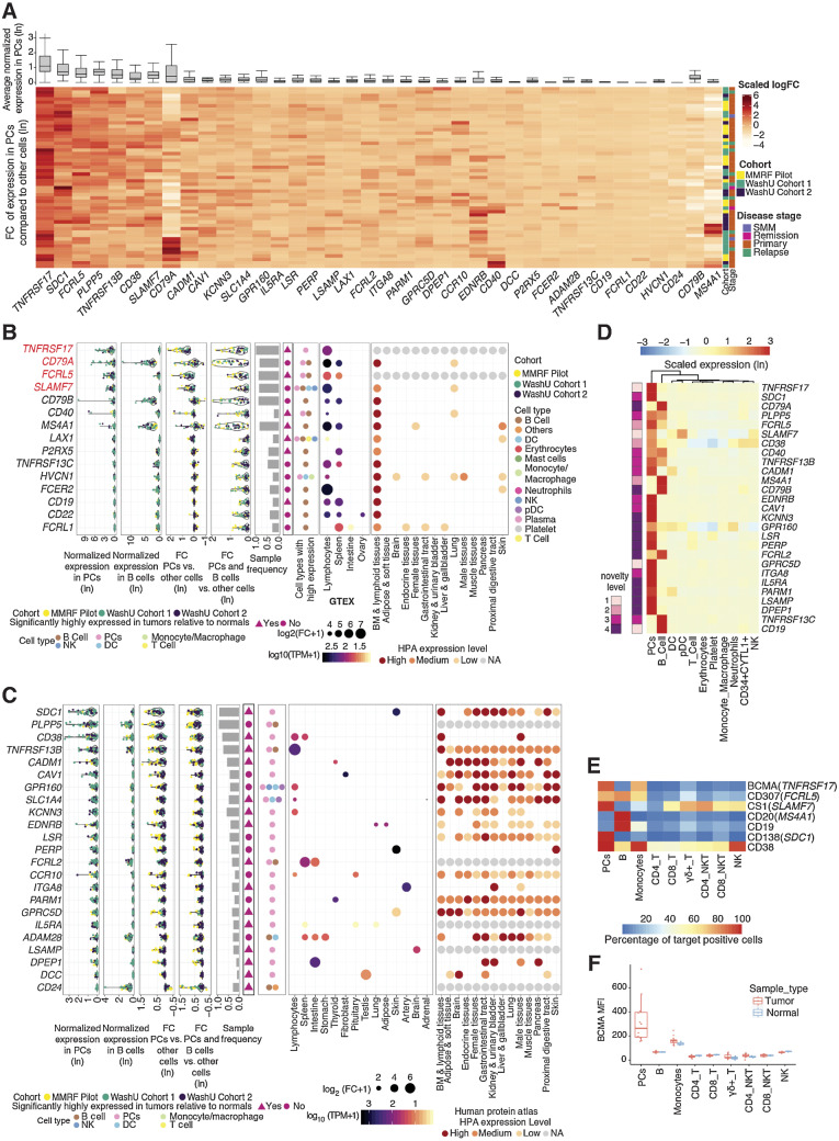 Figure 3. Characterization of myeloma cell–associated surface proteins. A, Average gene expression in plasma cells (top: box and whisker plot) and hierarchical clustering of z-score scaled log fold change between plasma and nonplasma cells across samples (bottom: heat map). B, Summarized characterization of primary candidate targets expressed on the cell surface with specific expression in lymphoid tissues. Genes are ordered by average expression in PCs. Top 4 genes are top-tier primary targets, highlighted in red. Average normalized expression in plasma and B cells are shown in the first 2 sections, respectively. Average expression log fold change between PCs and other cells is shown in the third section followed by expression log fold change of combined plasma and B cells compared with other cells shown in the fourth section (FC: fold change). Each dot represents a sample, colored by its corresponding cohort. Sample frequency is the proportion of samples having genes differentially expressed in PCs or in combined plasma and B-cell population if the gene is only expressed in B cells. In the sixth section, triangle and circle denote whether genes are significantly highly expressed in tumors relative to normal BMs. Cell types with target expression are annotated in the seventh section. In the GTEx tissue expression specificity analysis section, only gene-tissue type relationships with a significant FDR are plotted. Size corresponds to fold difference and colored by expression. HPA protein expression was shown in the last section with color indicating expression level. NA = not available; TPM = transcript per million; BM = bone marrow. C, Summarized characterization of secondary candidate targets expressed on the cell surface without specific expression in lymphoid tissues. Figure layout is the same as B. D, Heat map showing the z-score scaled average expression of known and novel targets across cell populations in scRNA-seq. Columns are ordered based on the hierarchical clustering of target expressions; rows are ordered by average normalized expression in plasma cells. Left annotation indicates novelty level: (1) currently under clinical study as CAR-based therapy; (2) currently under clinical study as antibody-based therapy; (3) potential therapeutic utility is supported by existing literature; (4) previously uncharacterized in its capacity as a myeloma marker. Further details for novelty ranking are included in Supplementary Table S2. E, Heat map showing the average percentage of cells with positive expression of surface antigens across cell populations from 12 patient samples (11 MM and 1 SMM patients) in flow cytometry. F, Box plot showing mean fluorescence intensity (MFI) of BCMA in patient BMMC (n = 12, including 11 MM and 1 SMM) or PBMC from healthy donors (n = 3) across cell populations in flow cytometry.