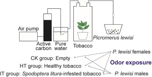 FIGURE 1