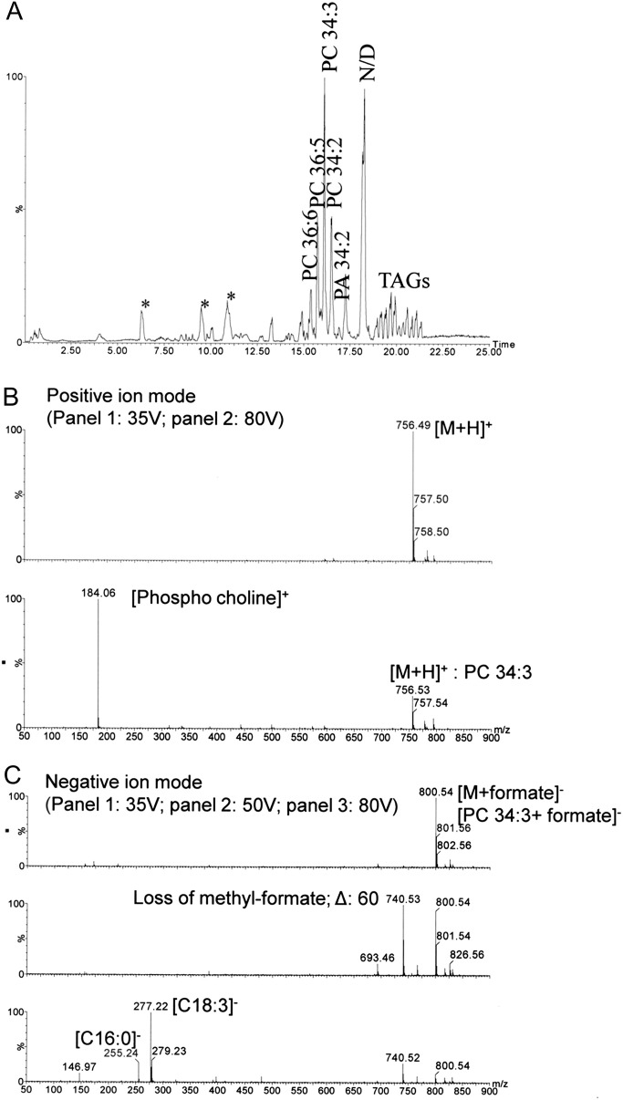 Fig. 5.