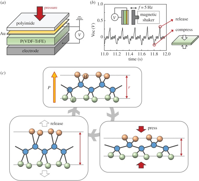 Figure 10.