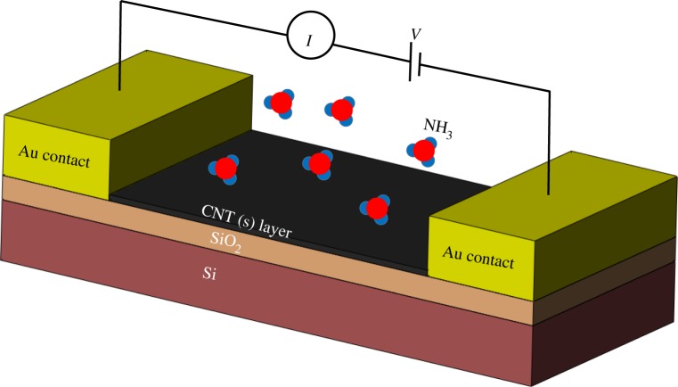 Figure 5.