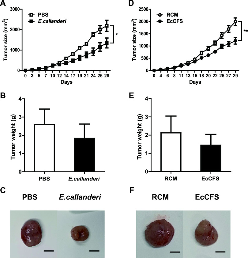 FIG 6