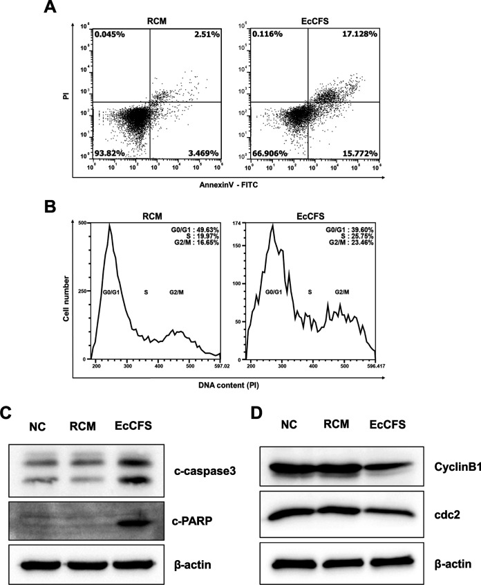 FIG 2