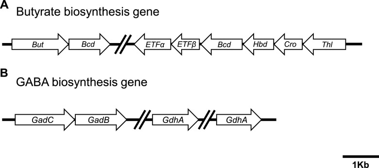 FIG 5