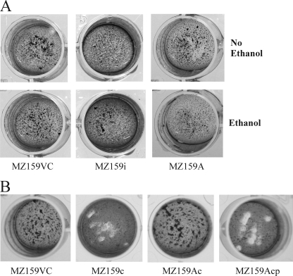 FIG. 6.