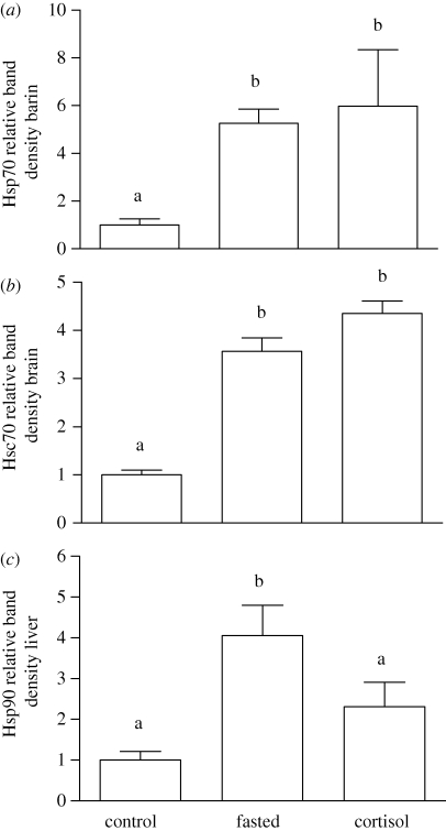 Figure 4.