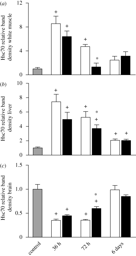 Figure 2.