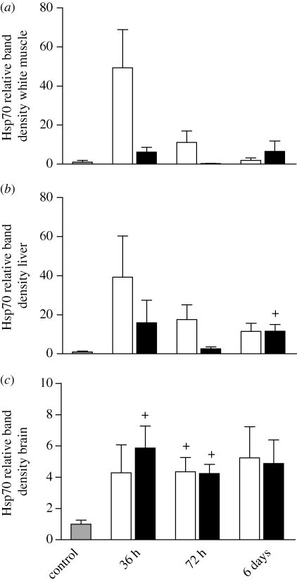 Figure 1.