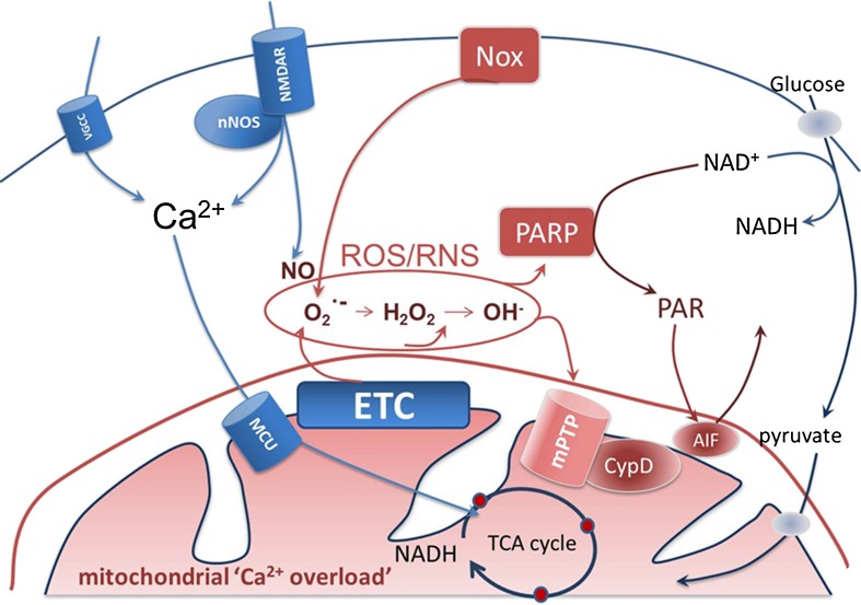 Fig. 3