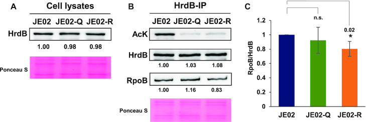 Figure 6.