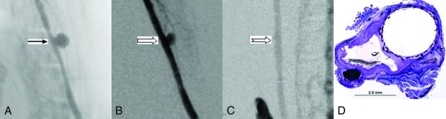 Fig 2.