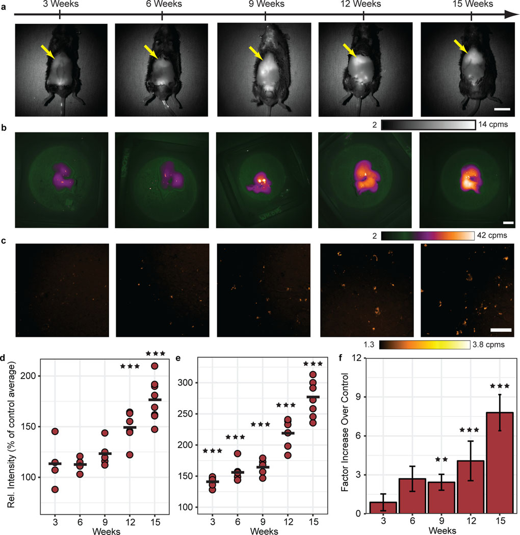 Fig. 4 |