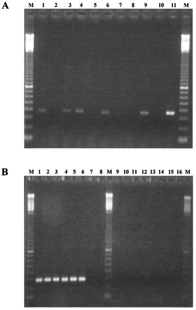 FIG. 5.